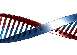 DNA